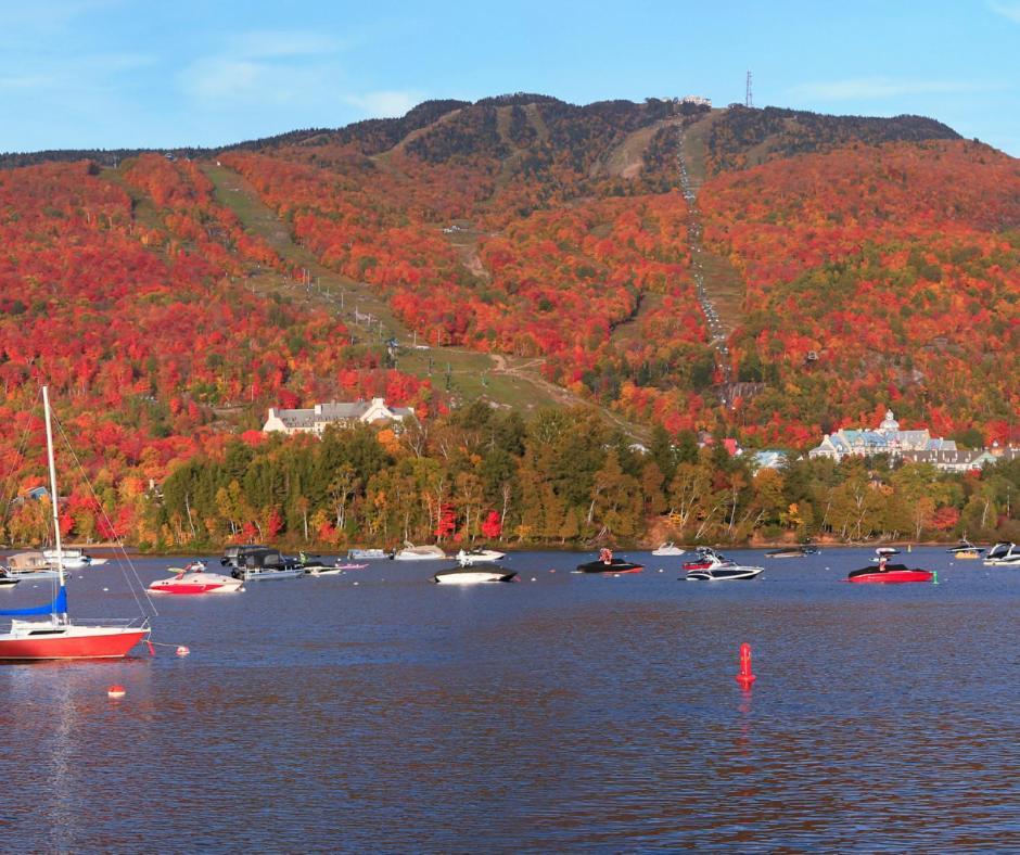 מונט טרמבלאנט Amazing Lakemountain View 5Min To Tremblant 491 מראה חיצוני תמונה